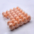 recyclable disposable plastic egg tray packaging carton with hanger